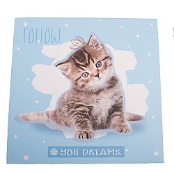 Obraz na plátne Kittie, 28 x 28 cm