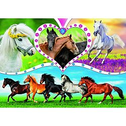 Trefl Puzzle Krásne kone, 200 dielikov