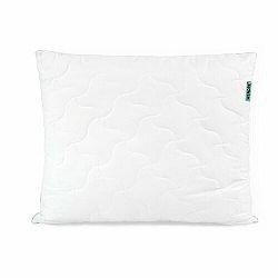 Wendre Vankúš Aloe Soft, 70 x 90 cm